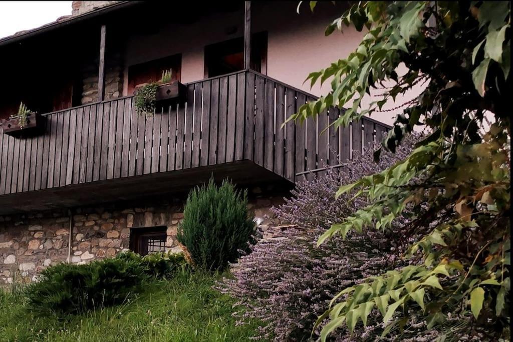 La Maison De Carmen 奥斯塔 外观 照片
